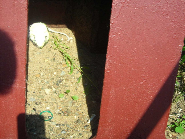 Installation N° 01