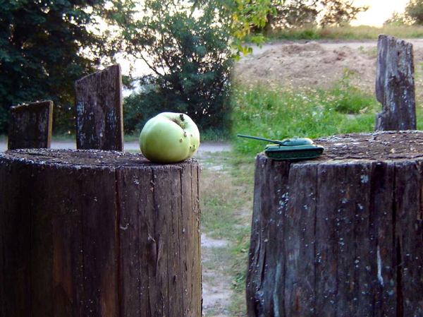 Installation N° 33