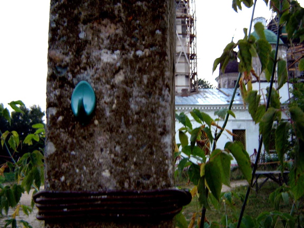 Installation N° 34