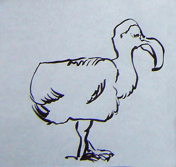09